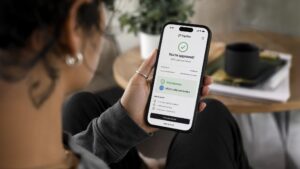 Stablecoin-Backed BNPL: The Future of Buy Now Pay Later